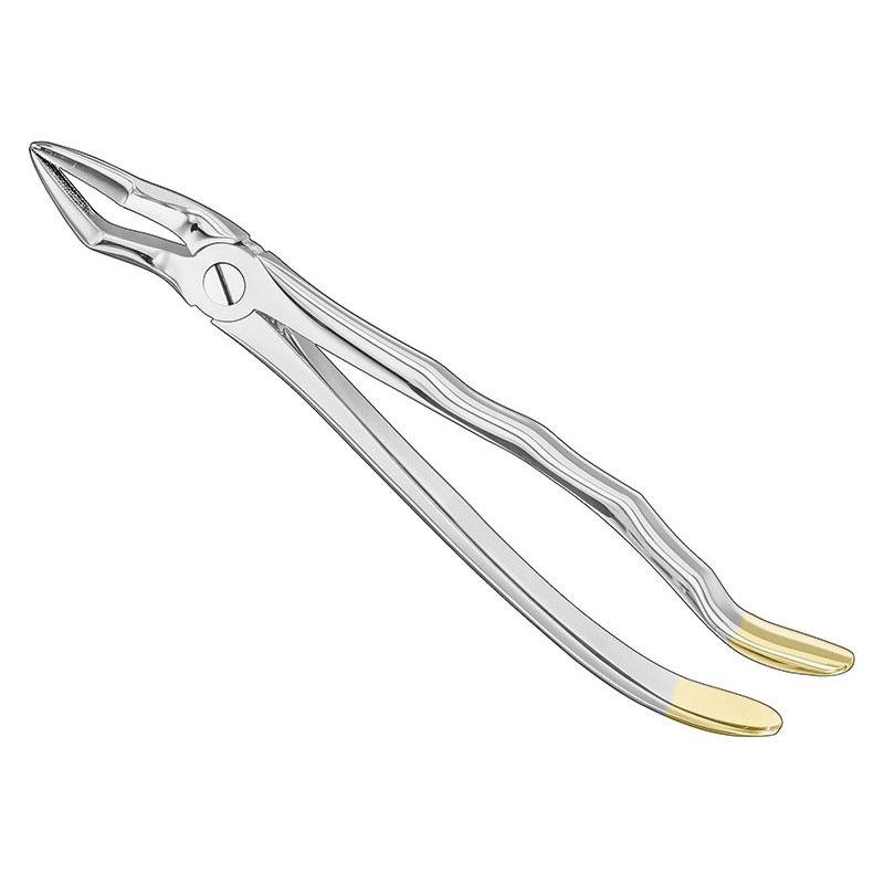 Extracting Forceps Anatomical — Size 51 — Size 51 (SKS-DEN-0012)