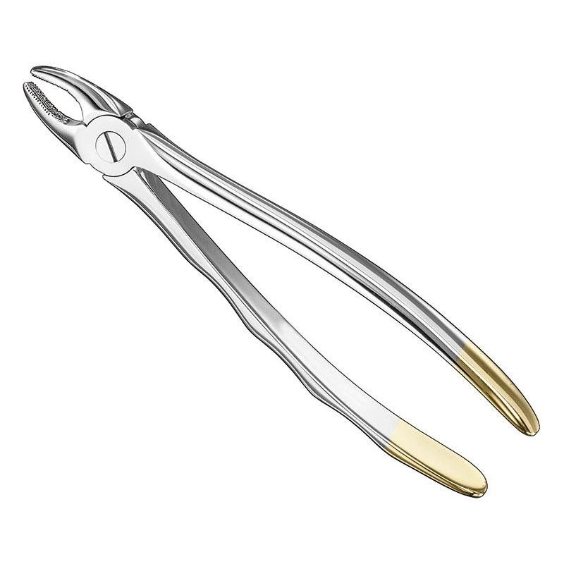Extracting Forceps Anatomical — Size 37 — Size 37 (SKS-DEN-0016)