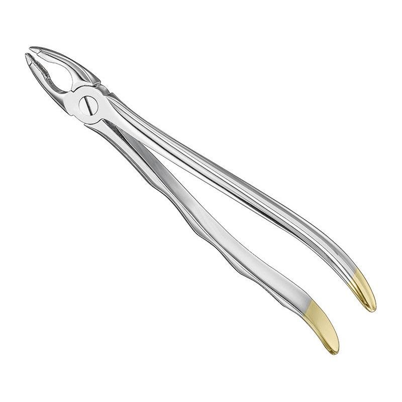 Extracting Forceps Anatomical — Size 34 — Size 34 (SKS-DEN-0019)