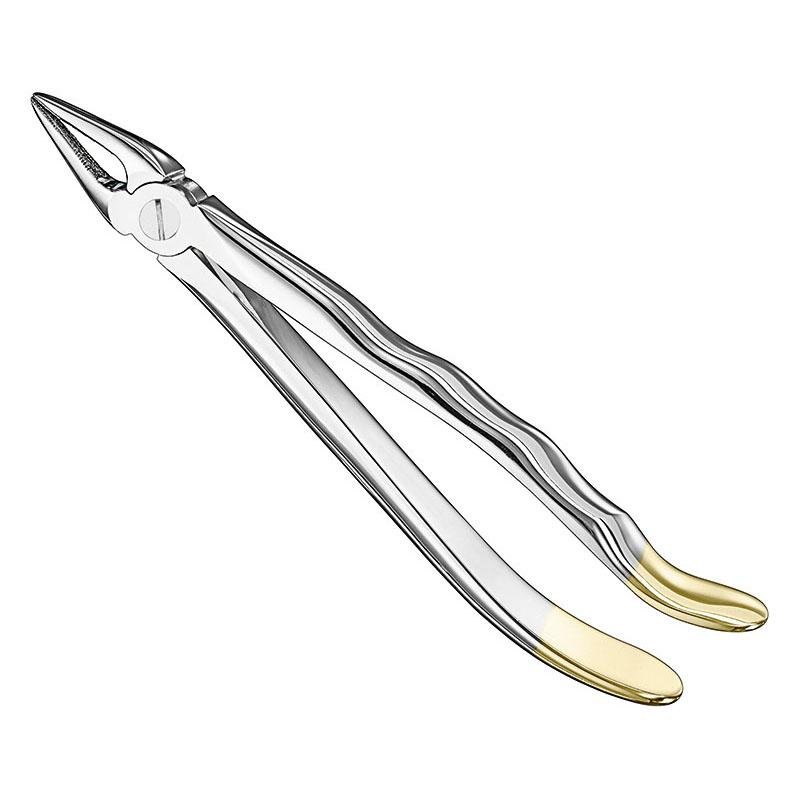 Extracting Forceps Anatomical — Size 29 — Size 29 (SKS-DEN-0026)