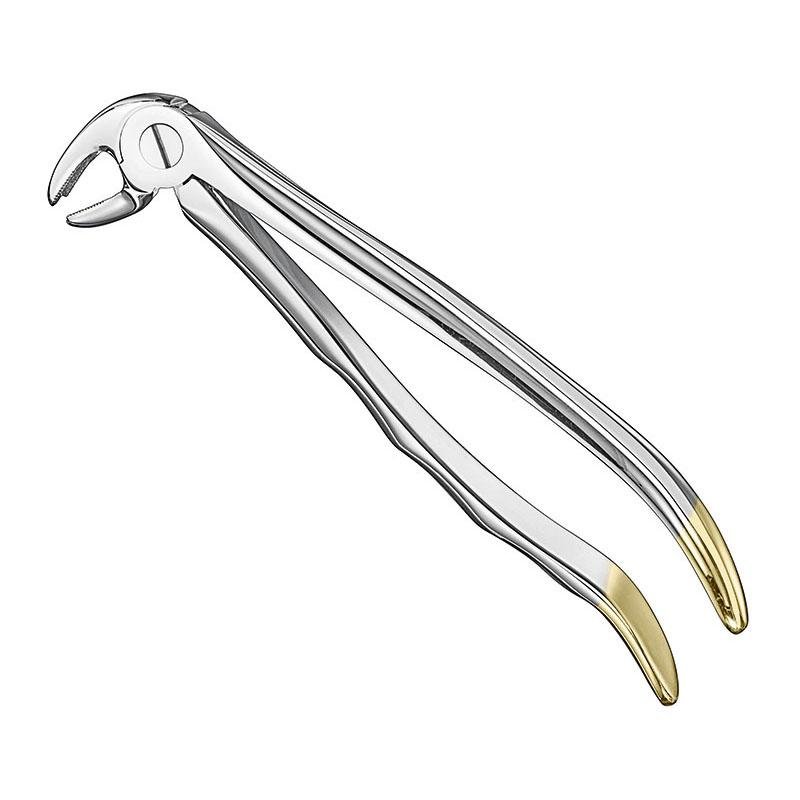 Extracting Forceps Anatomical — Size 22 — Size 22 (SKS-DEN-0030)