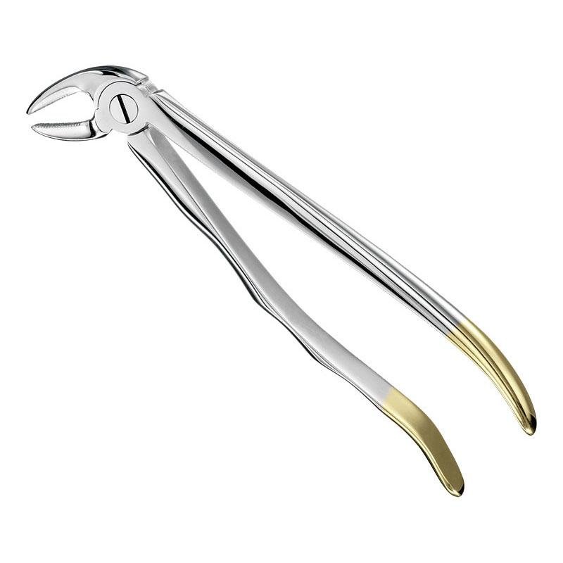 Extracting Forceps Anatomical — Size 4 — Size 4 (SKS-DEN-0037)