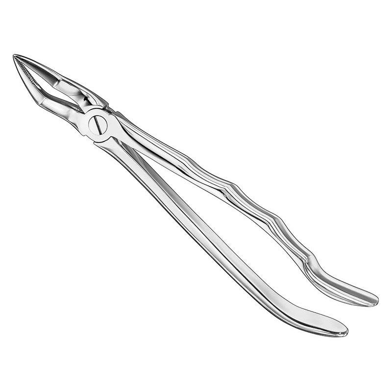 Extracting Forceps, Anatomical, Sz.51A, Nonslip