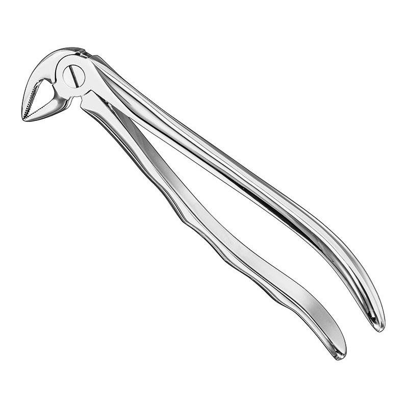 Extracting Forceps, Anatomical, Sz.33A, Nonslip