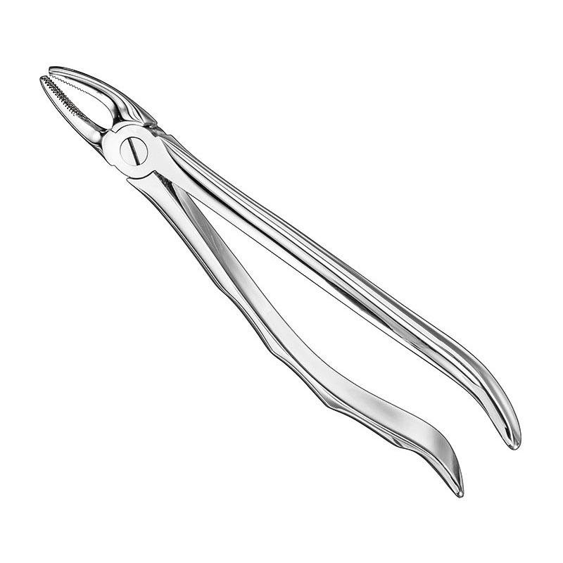 Extracting Forceps Anatomical — Size 7 — Size 7 (SKS-DEN-0057)