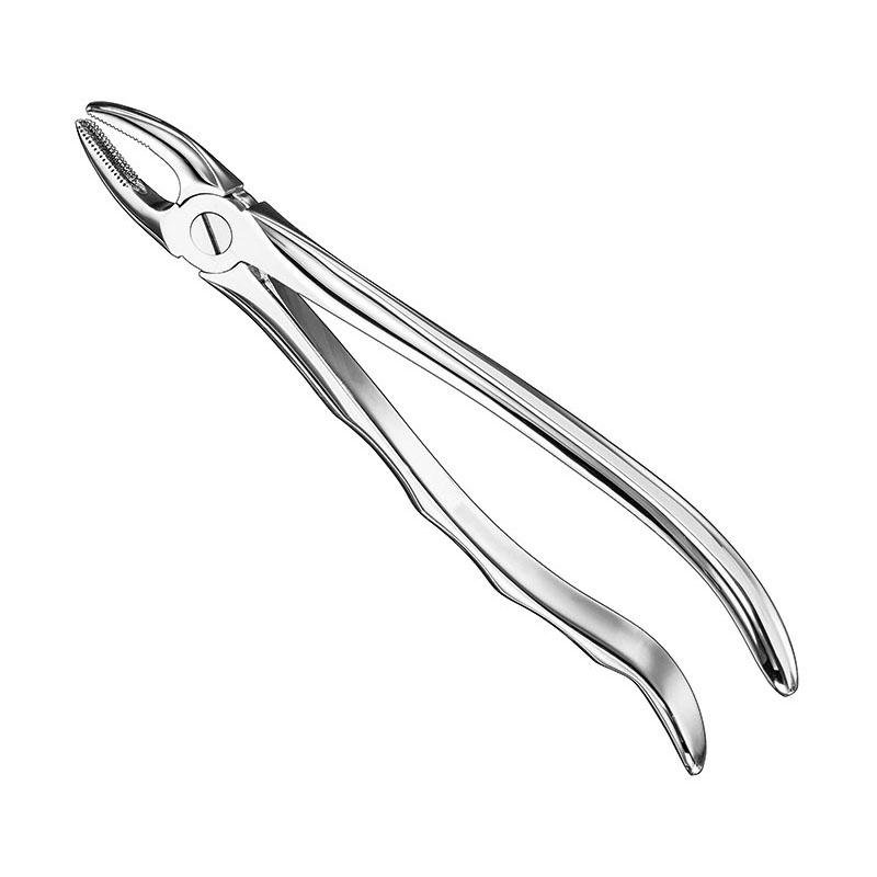 Extracting Forceps Anatomical — Size 1
