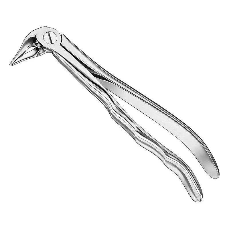 Extracting Forceps, Anatomical, Sz 333 S