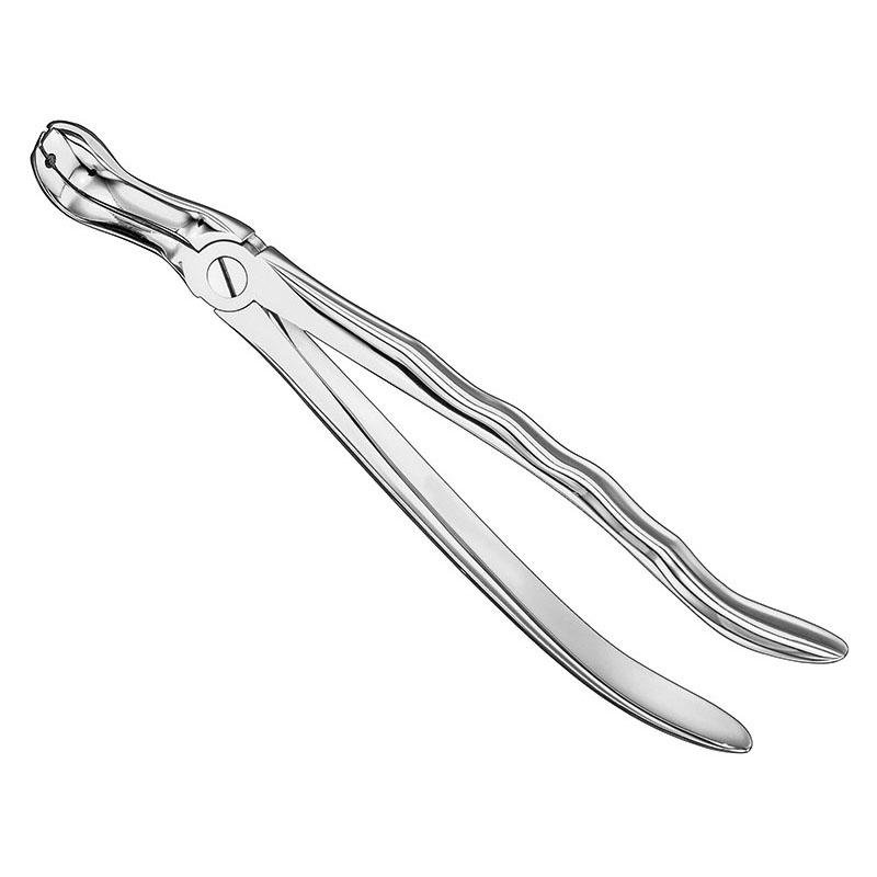 Felsch, Extracting Forceps Anatomical (SKS-DEN-0066)