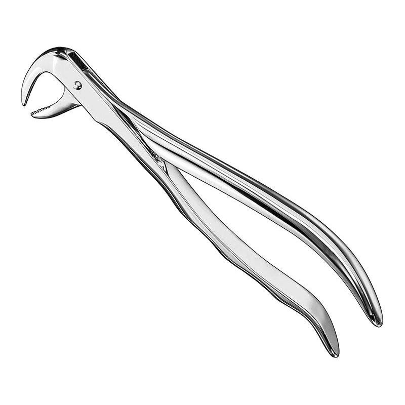 Extracting Forceps Anatomical — Size 99 — Size 99