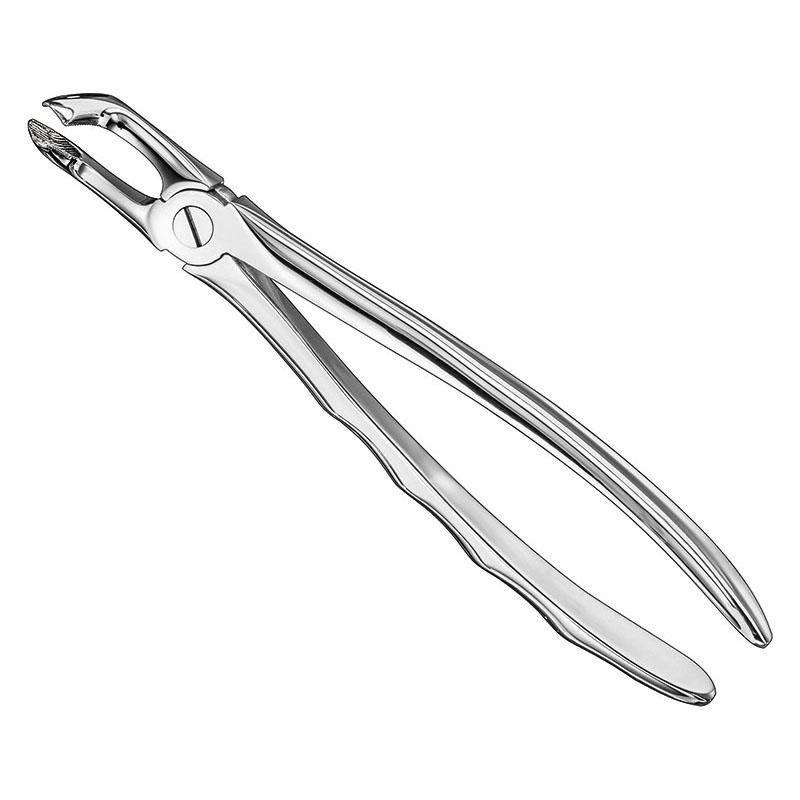 Extracting Forceps Anatomical — Size 79 A — Size 79