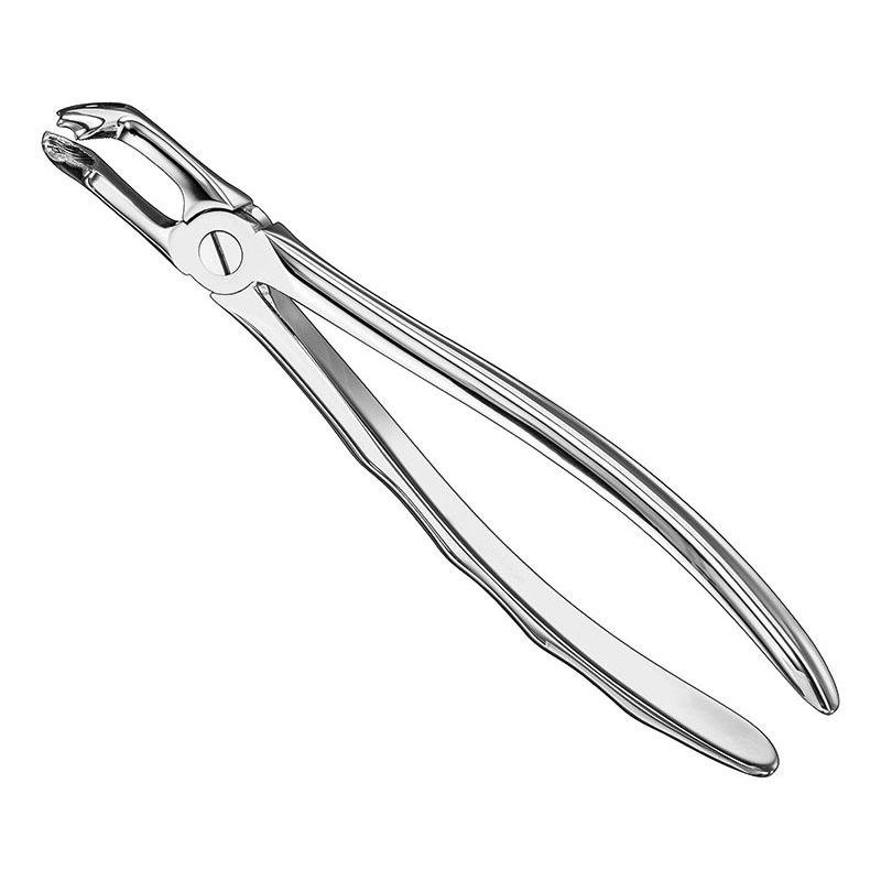 Extracting Forceps Anatomical — Size 79 — Size 79