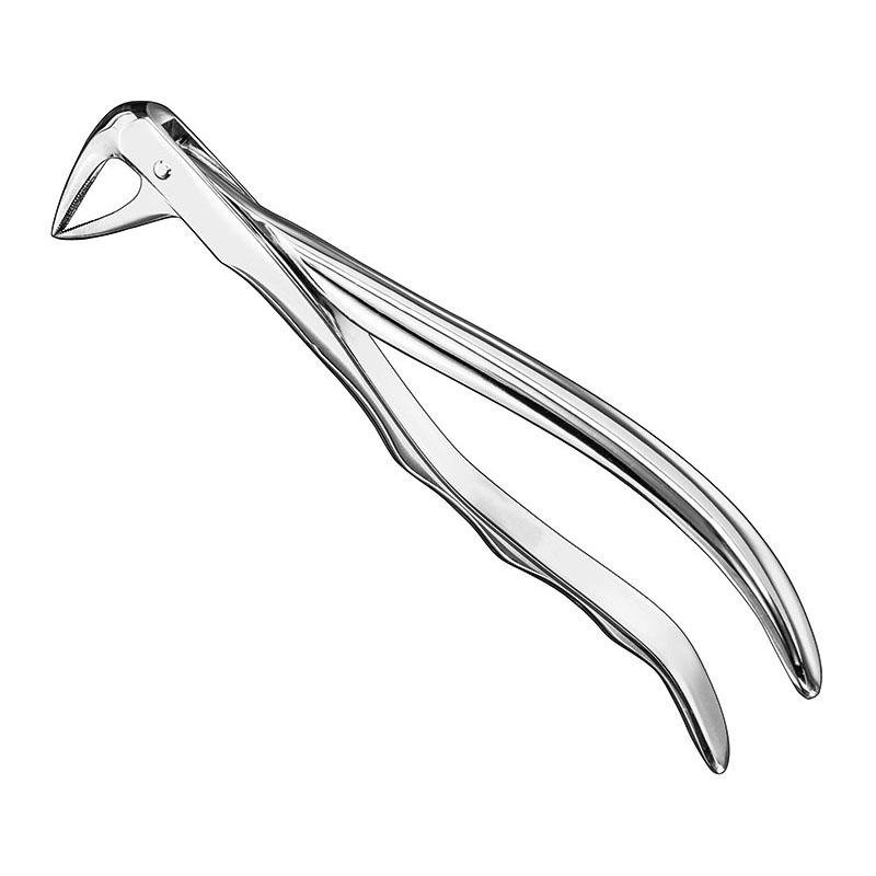 Extracting Forceps Anatomical — Size 74 — Size 74 (SKS-DEN-0074)