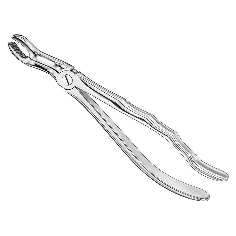 Extracting Forceps Anatomical — Size 67 A — Size 67