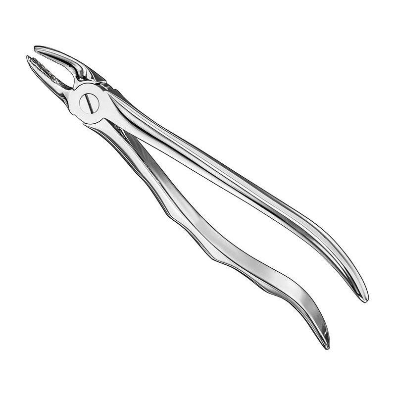 Extracting Forceps Anatomical — Size 39 R — Size 39