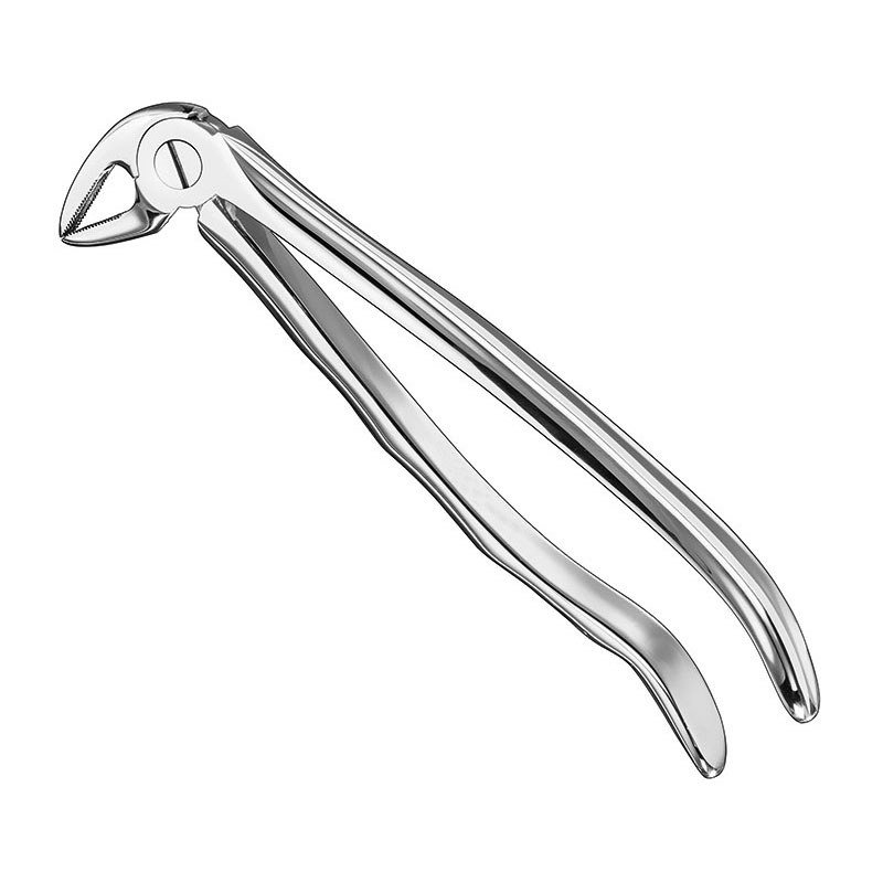 Extracting Forceps Anatomical — Size 33 — Size 33 (SKS-DEN-0086)
