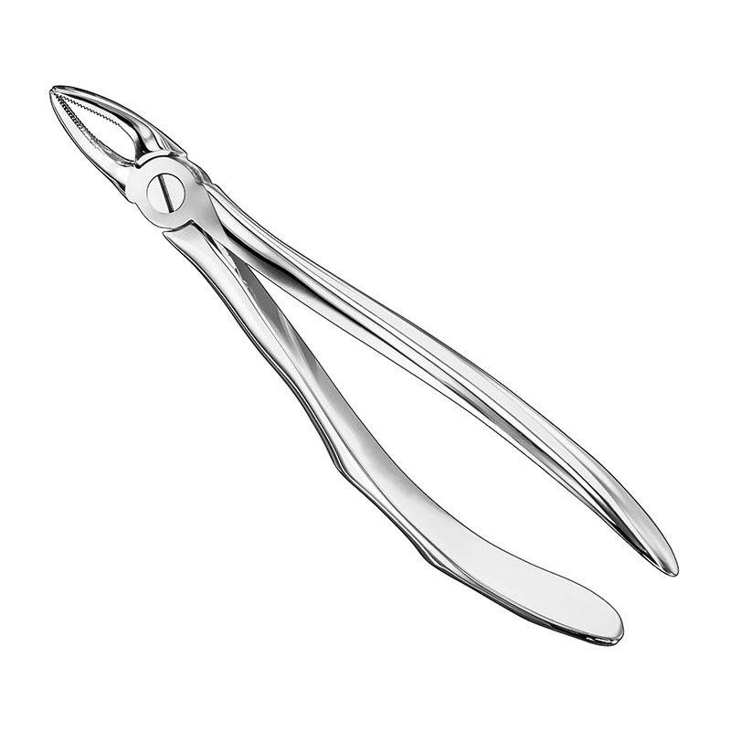 Extracting Forceps Anatomical — Size 30 S — Size 30
