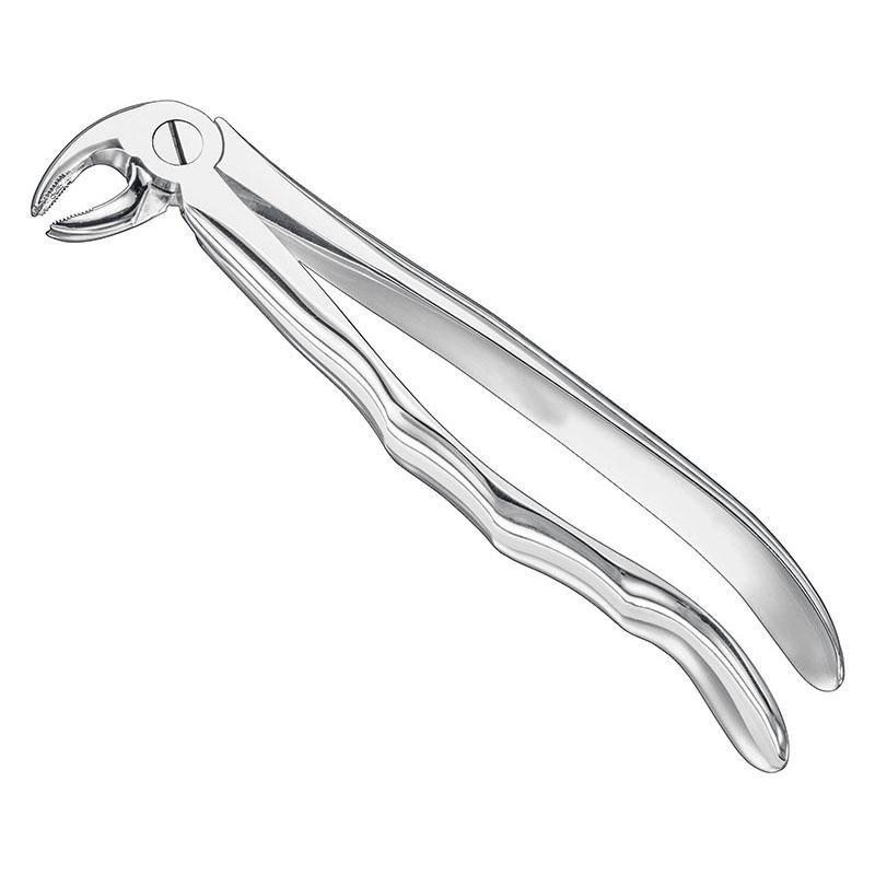 Extracting Forceps Anatomical — Size 24 — Size 24