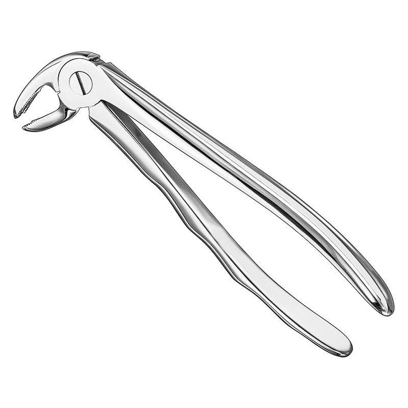 Extracting Forceps Anatomical — Size 22 S — Size 22
