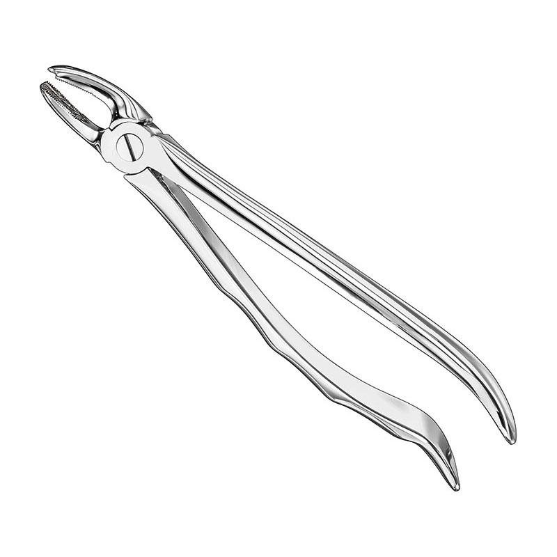 Extracting Forceps Anatomical — Size 18 — Size 18 (SKS-DEN-0093)