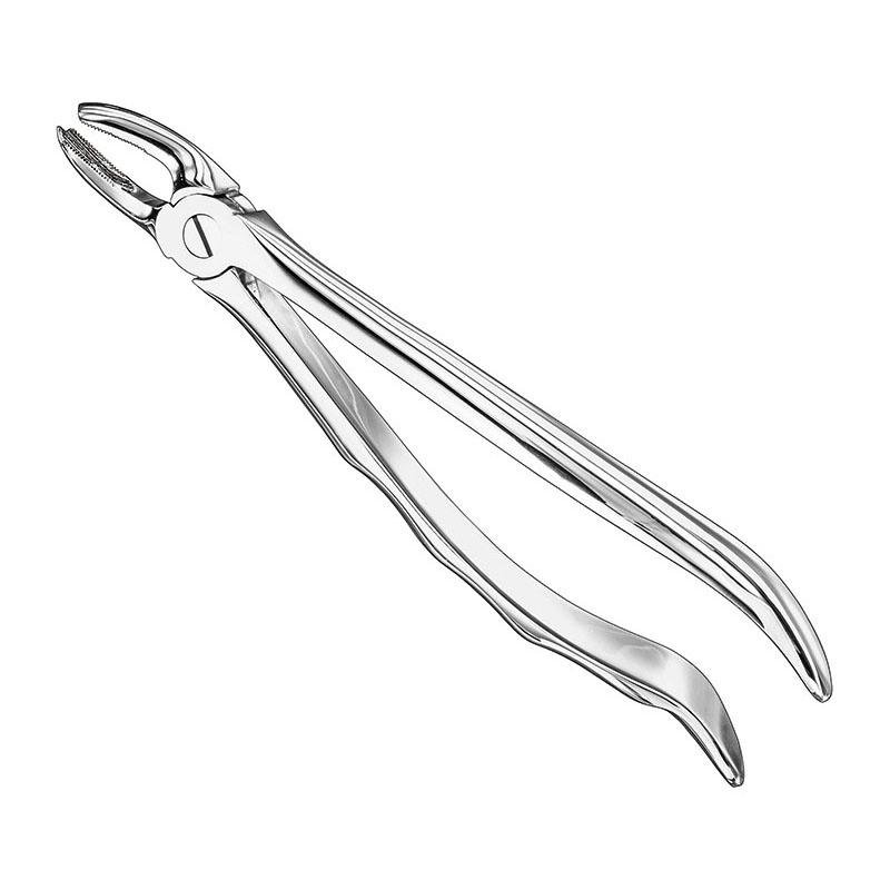 Extracting Forceps Anatomical — Size 17 — Size 17 (SKS-DEN-0094)