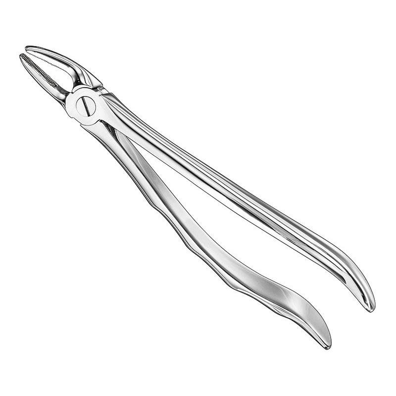 Extracting Forceps Anatomical — Size 13 — Size 13 (SKS-DEN-0097)