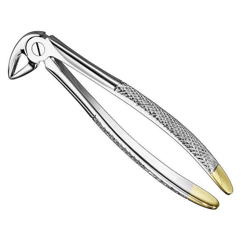 Extracting Forceps English Pattern — Size 33 — Size 33
