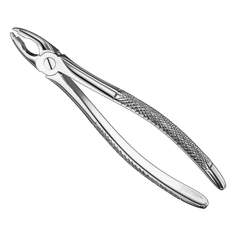 Extracting Forceps, English Pattern Patt — Size 34 — Size 34