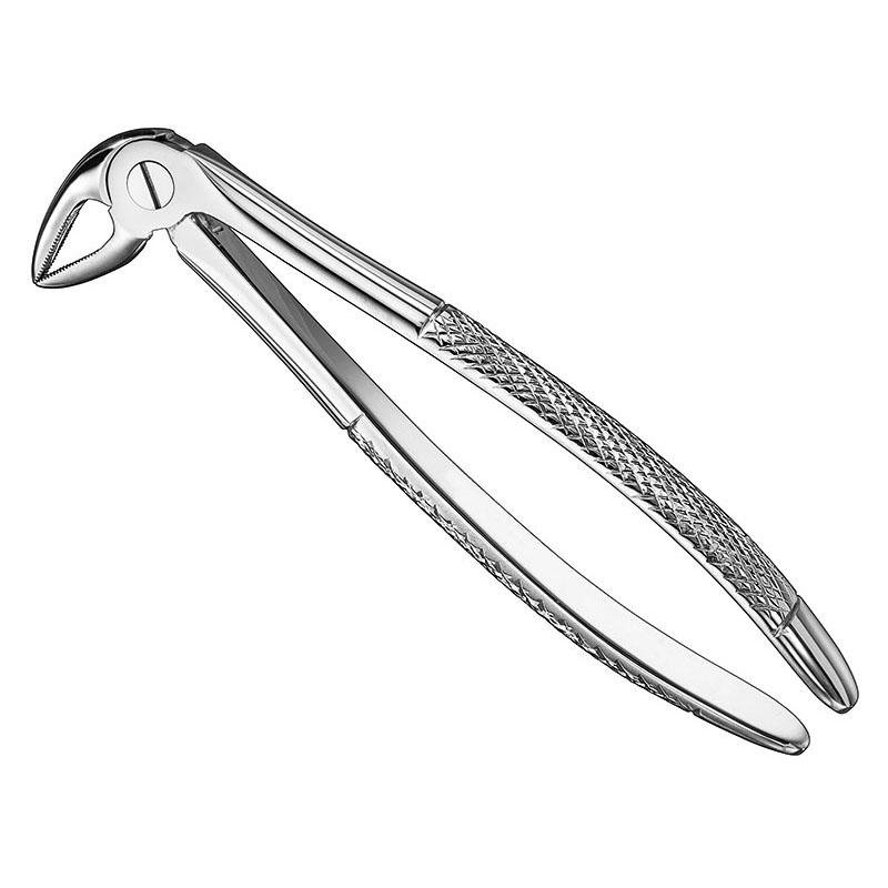 Extracting Forceps, English Pattern Patt — Size 33 — Size 33