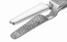 Mayo Safety Pin