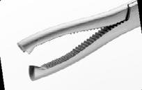 Sks-Vet-0361 — Size 170MM
