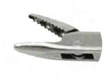 Biopsy And Spoon
