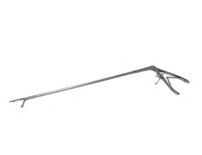 Mare Biopsy Punch