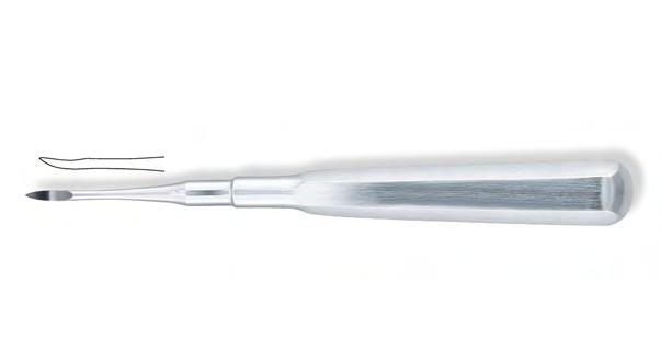 Sks-Vet-0918 — Size 145MM